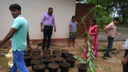 අපගේ ව්‍යාපෘති