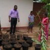 අපගේ ව්‍යාපෘති